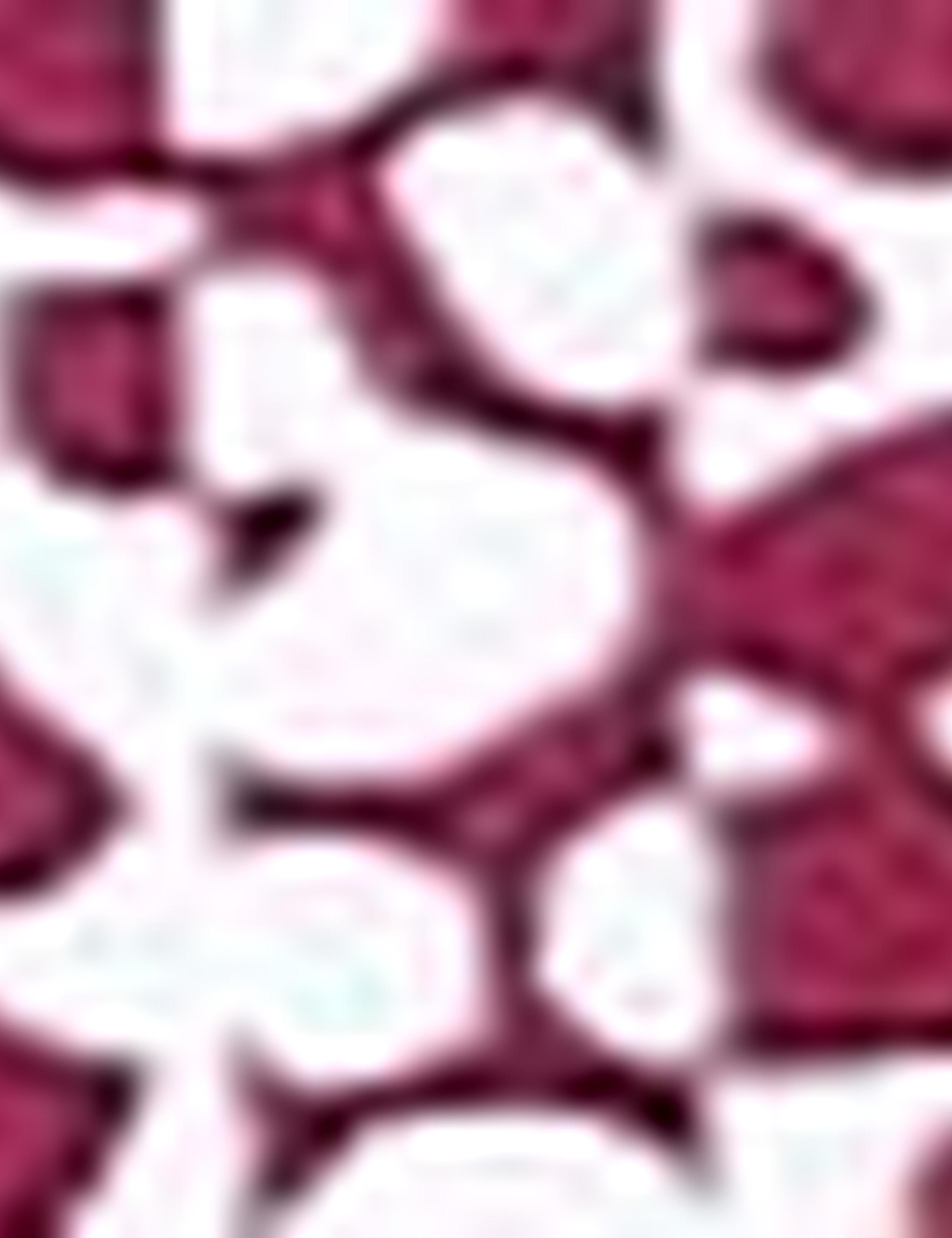 Bordo Slim Fit Polo Yaka Tişört