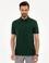 Koyu Yeşil Regular Fit Basic Polo Yaka T-Shirt