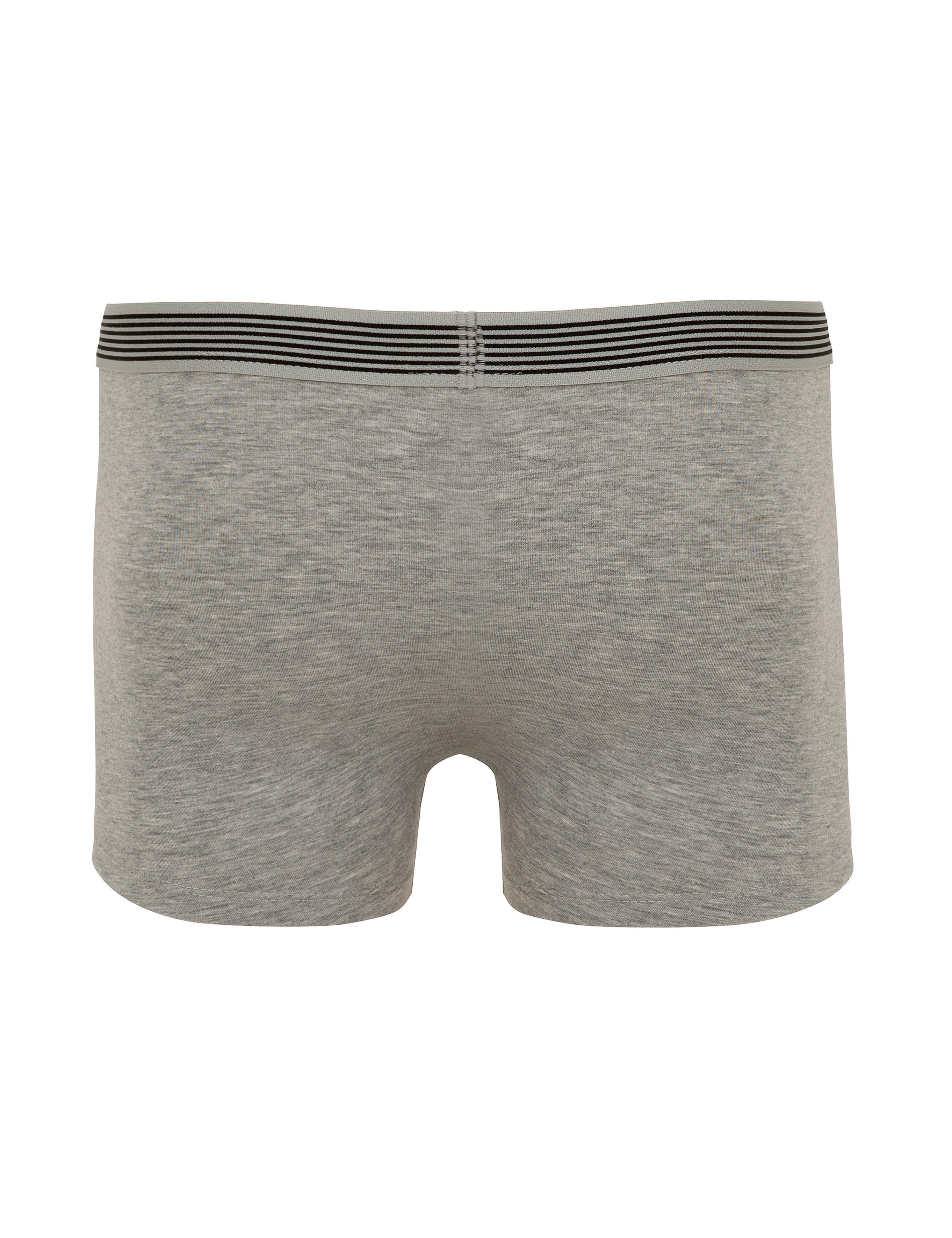 Renkli 3'lü Boxer